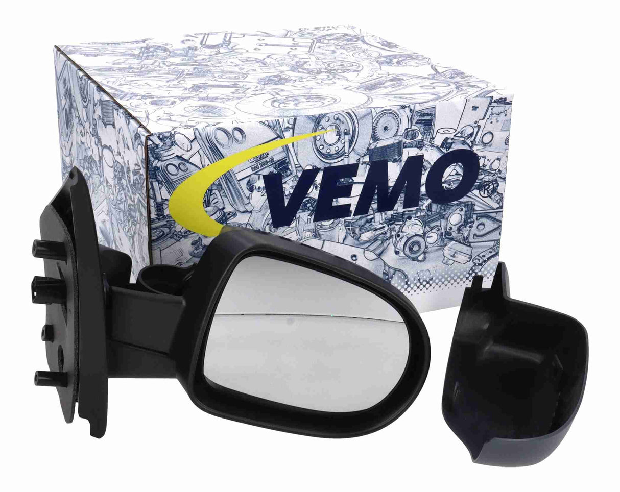 Exterior Mirror - V46-69-0179