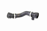 Radiator Hose - V20-1264