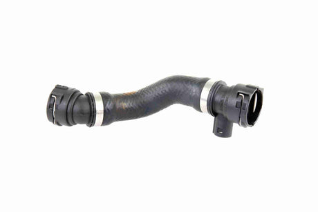 Radiator Hose - V20-1264