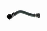 Radiator Hose - V20-1688