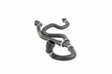 Radiator Hose - V20-3866