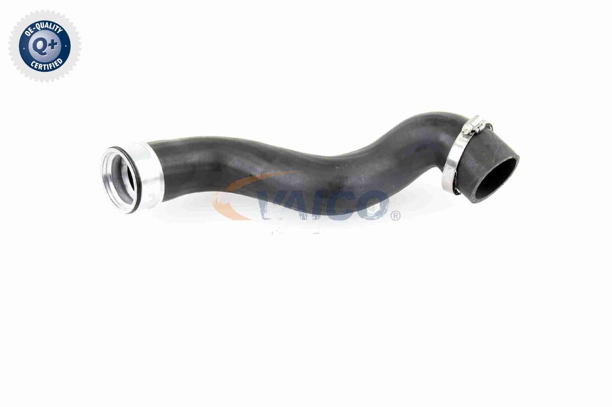 Charge Air Hose - V10-2915