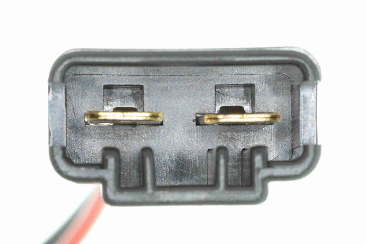 Fuel Pump - V30-09-0011