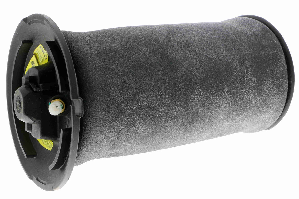 Air Suspension Strut - V20-50-0022-1