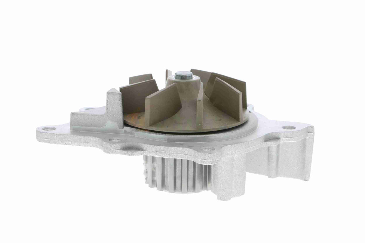 Water Pump, engine cooling - V25-50028