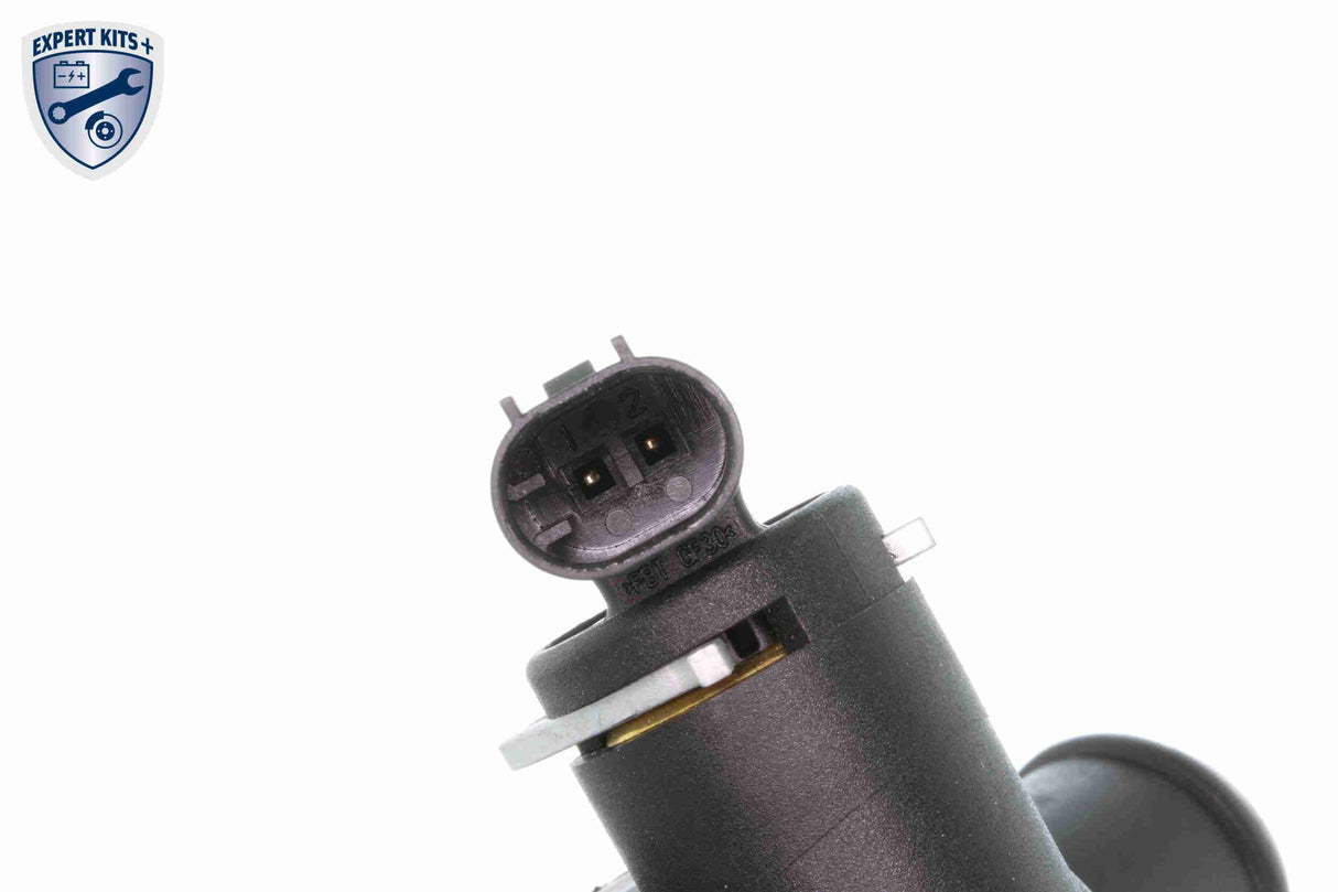Thermostat Housing - V30-99-0195
