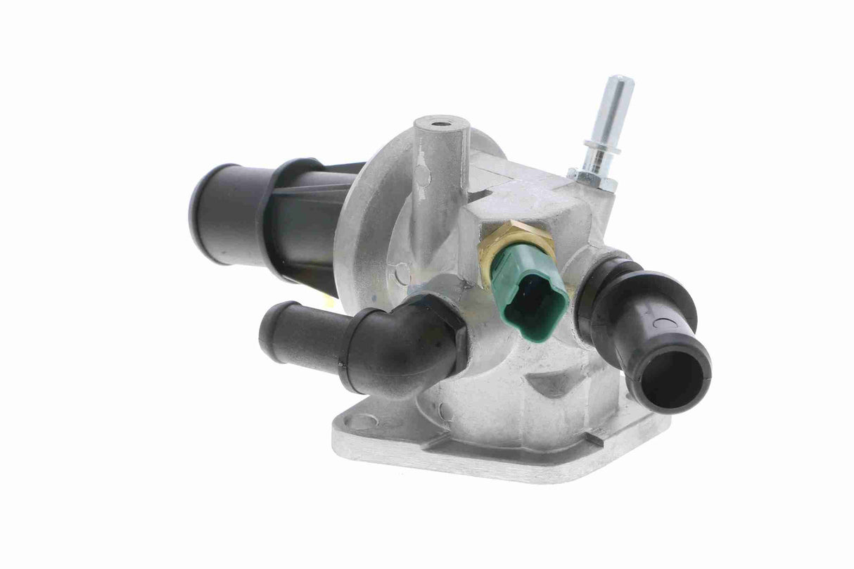 Thermostat Housing - V24-99-0034
