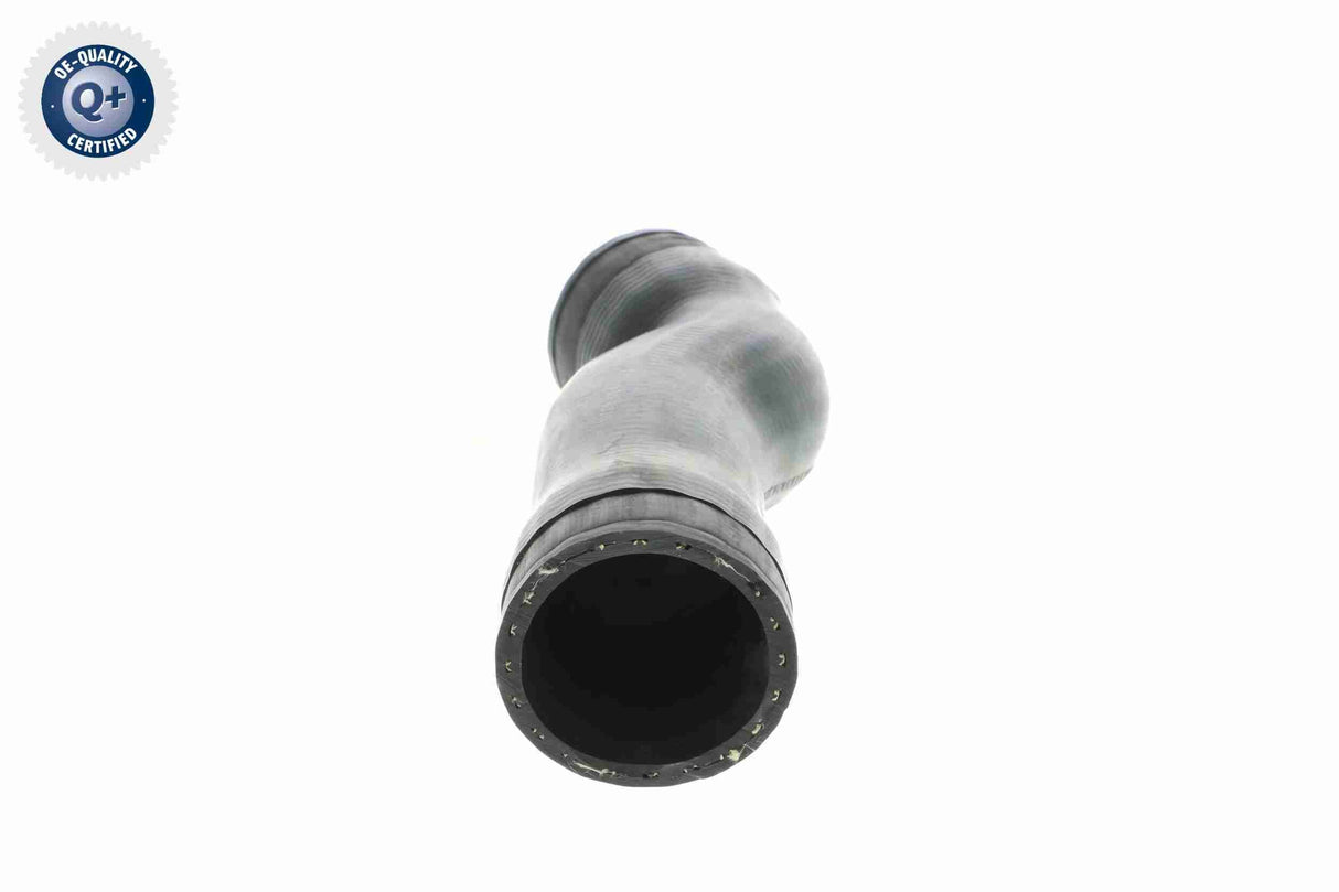 Charge Air Hose - V10-4371