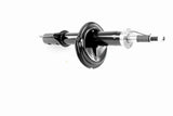 Shock Absorber - V22-0541