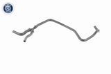 Radiator Hose - V48-0152