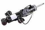 Shock Absorber - V20-4065