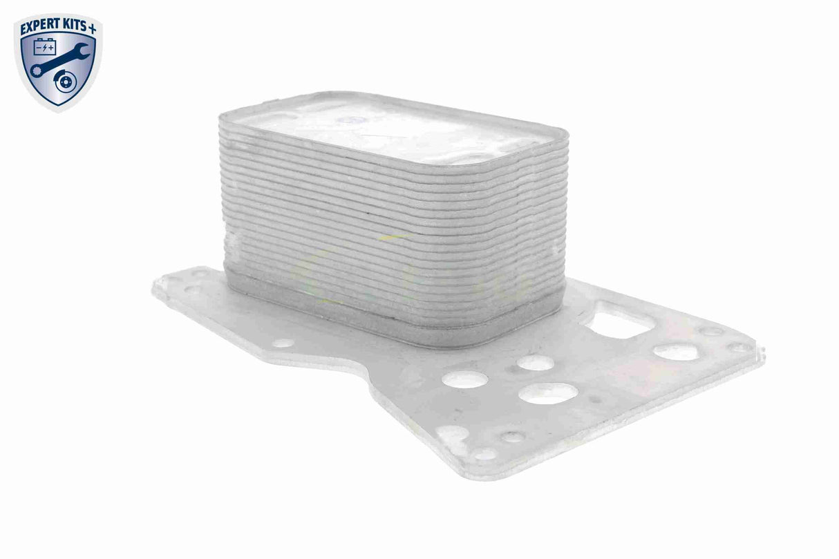 Oil Cooler, engine oil - V20-60-0076