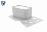 Oil Cooler, engine oil - V20-60-0076