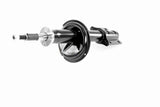 Shock Absorber - V22-0541