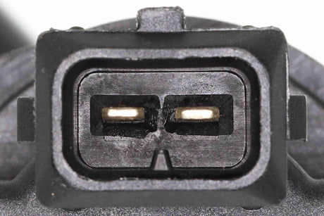 Valve, charcoal filter (tank ventilation) - V20-77-0036