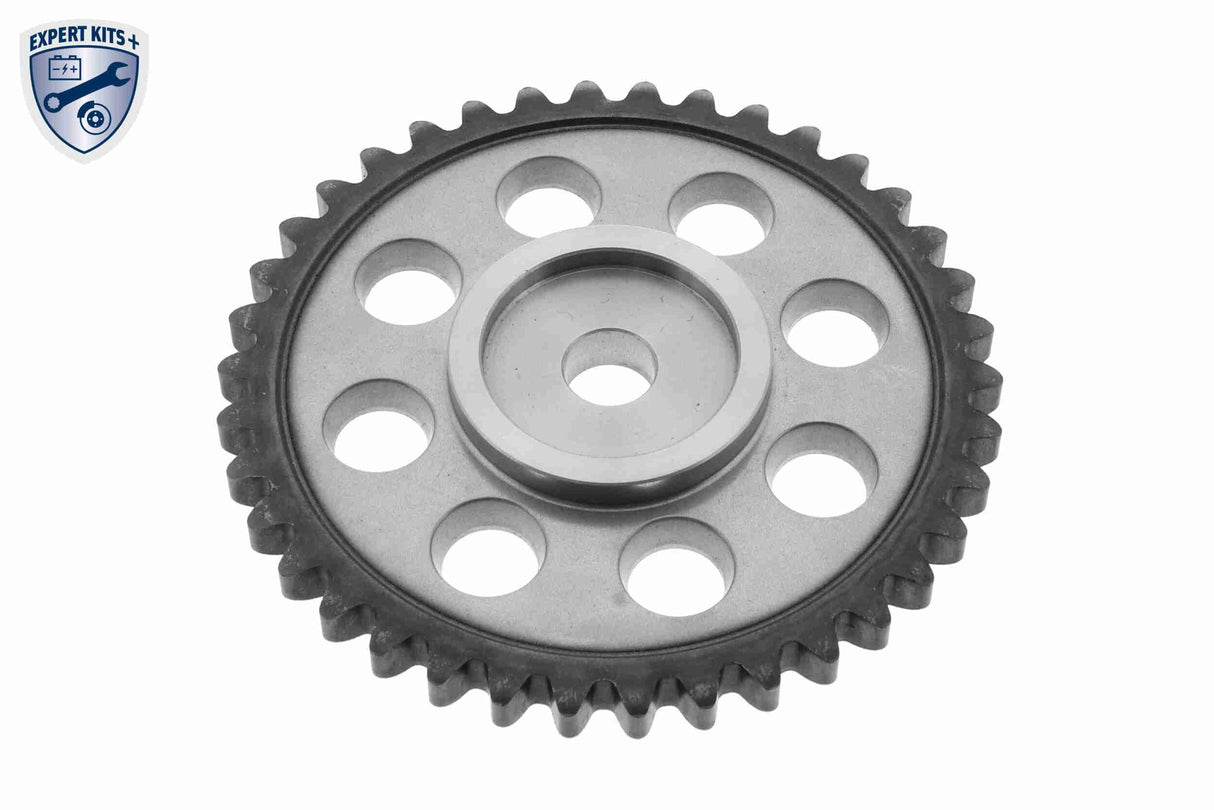 Timing Chain Kit - V10-10030-SP