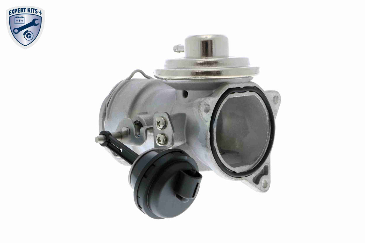 Valve, exhaust gas recirculation - V10-63-0020