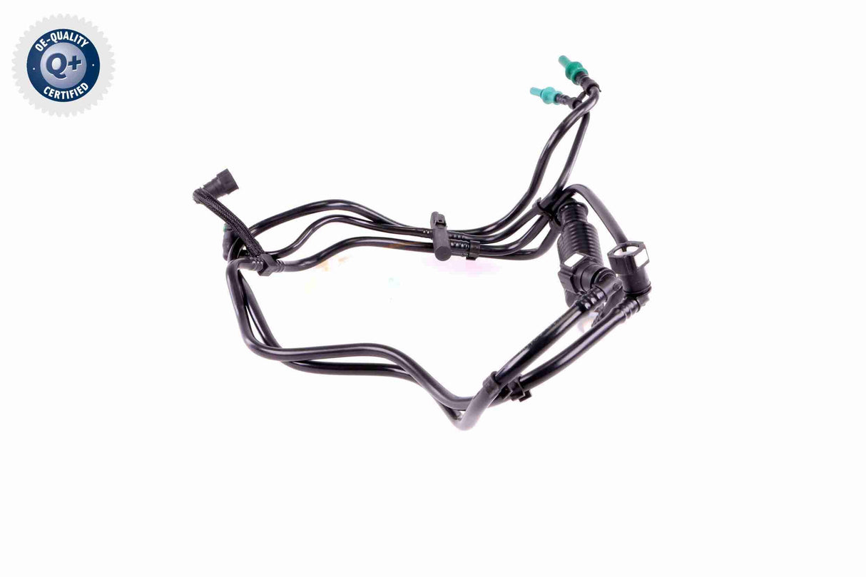 Fuel Line - V22-0664