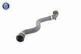 Radiator Hose - V20-0864