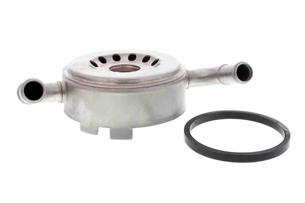 Oil Cooler, engine oil - V38-60-0010