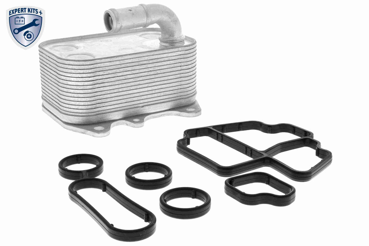 Oil Cooler, engine oil - V15-60-6089