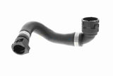 Radiator Hose - V20-3873