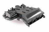 Intake Manifold Module - V10-5425