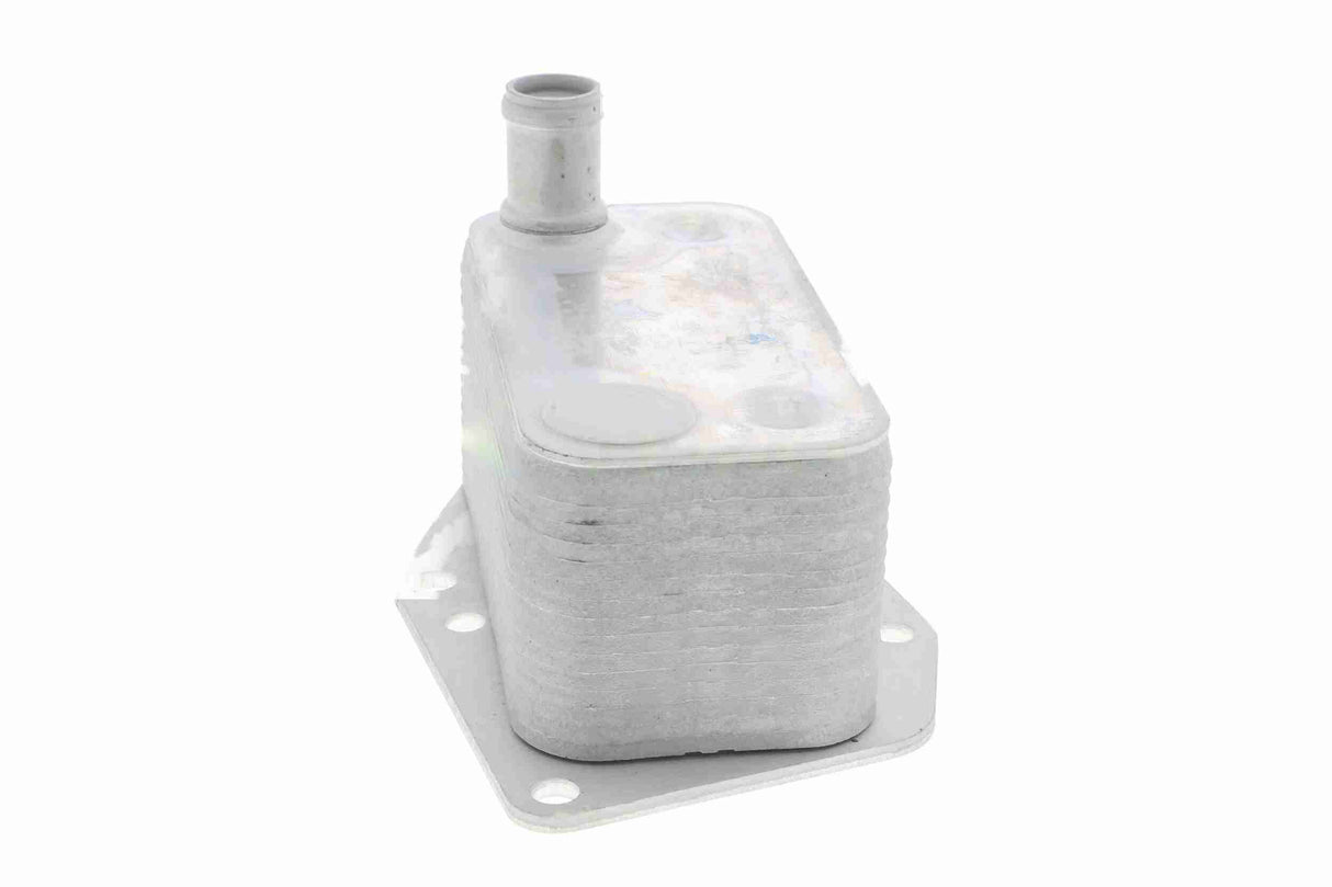 Oil Cooler, engine oil - V20-60-0043