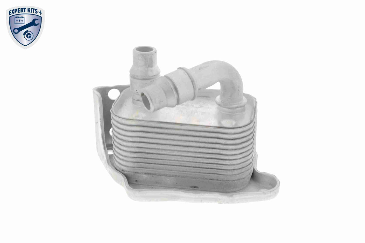 Oil Cooler, engine oil - V20-60-0031