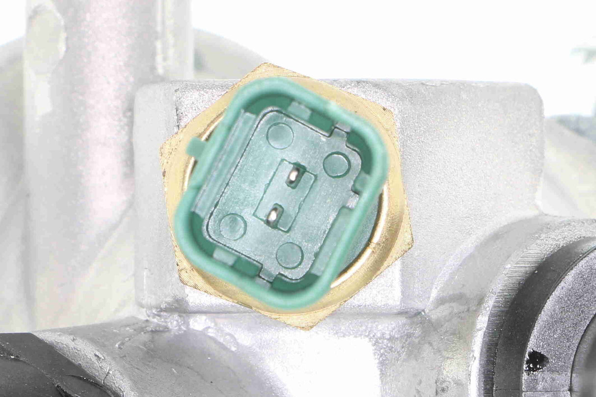 Thermostat Housing - V24-99-0034
