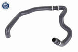 Radiator Hose - V20-2464