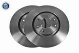 Brake Disc - V22-80005