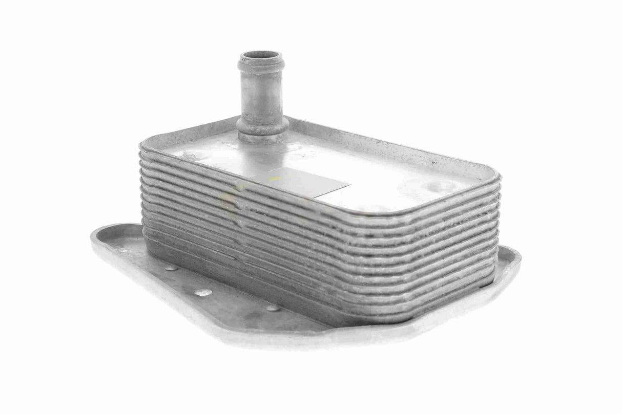Oil Cooler, engine oil - V30-60-1323
