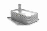 Oil Cooler, engine oil - V30-60-1323