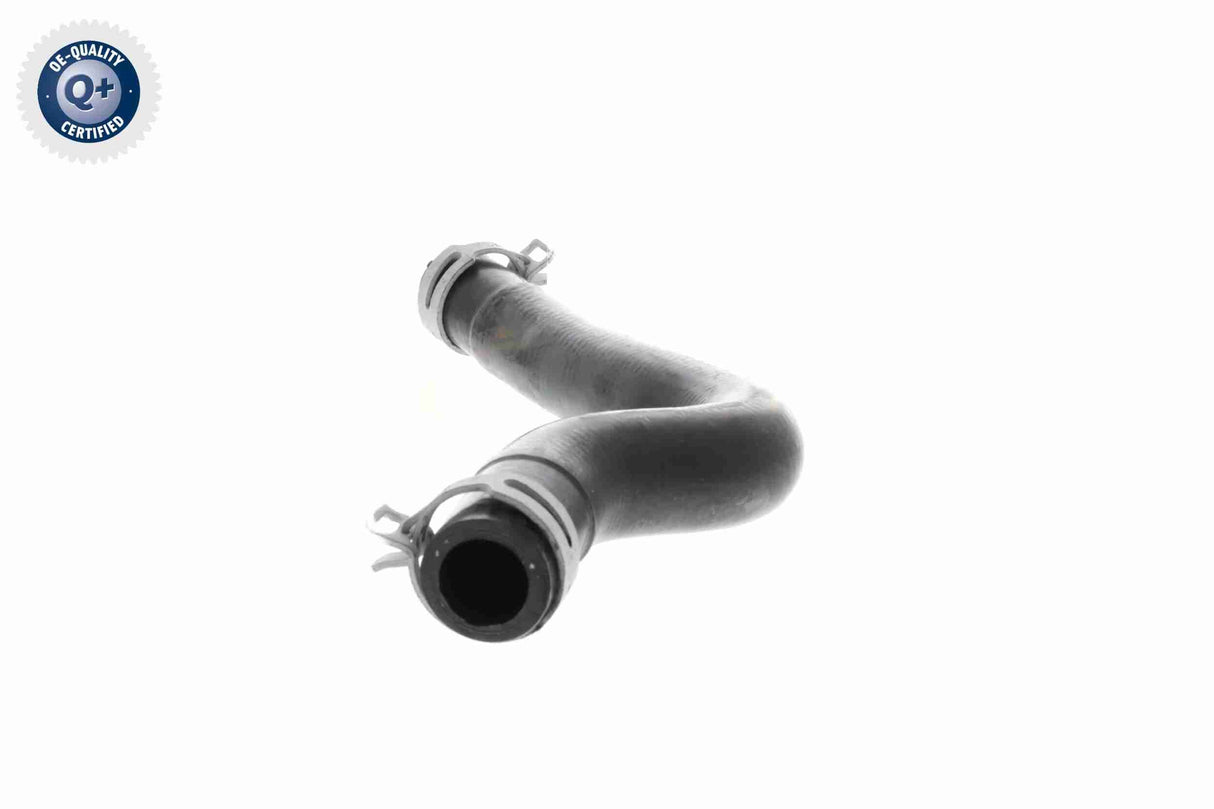 Radiator Hose - V58-0311