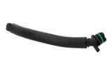 Hose, cylinder head cover ventilation - V20-5176