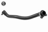 Radiator Hose - V20-3617