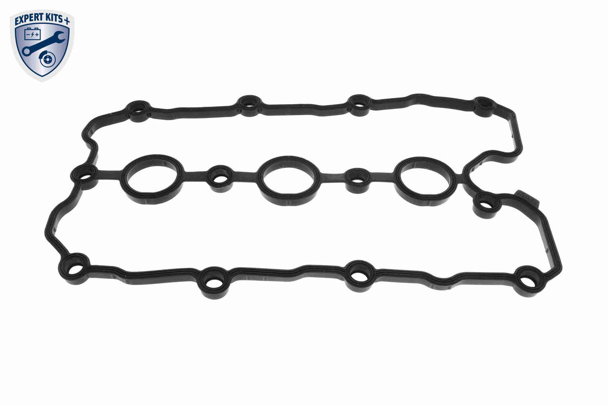 Timing Chain Kit - V10-10011