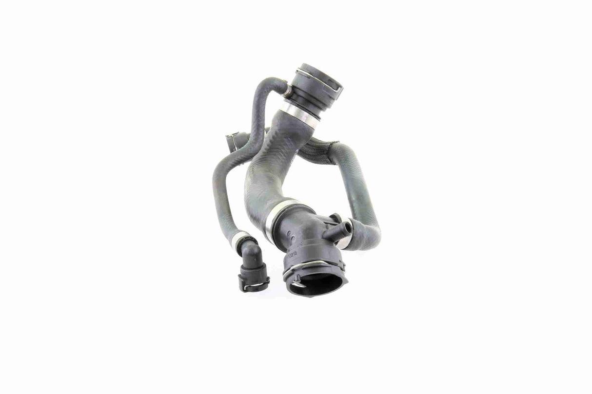 Radiator Hose - V20-1691