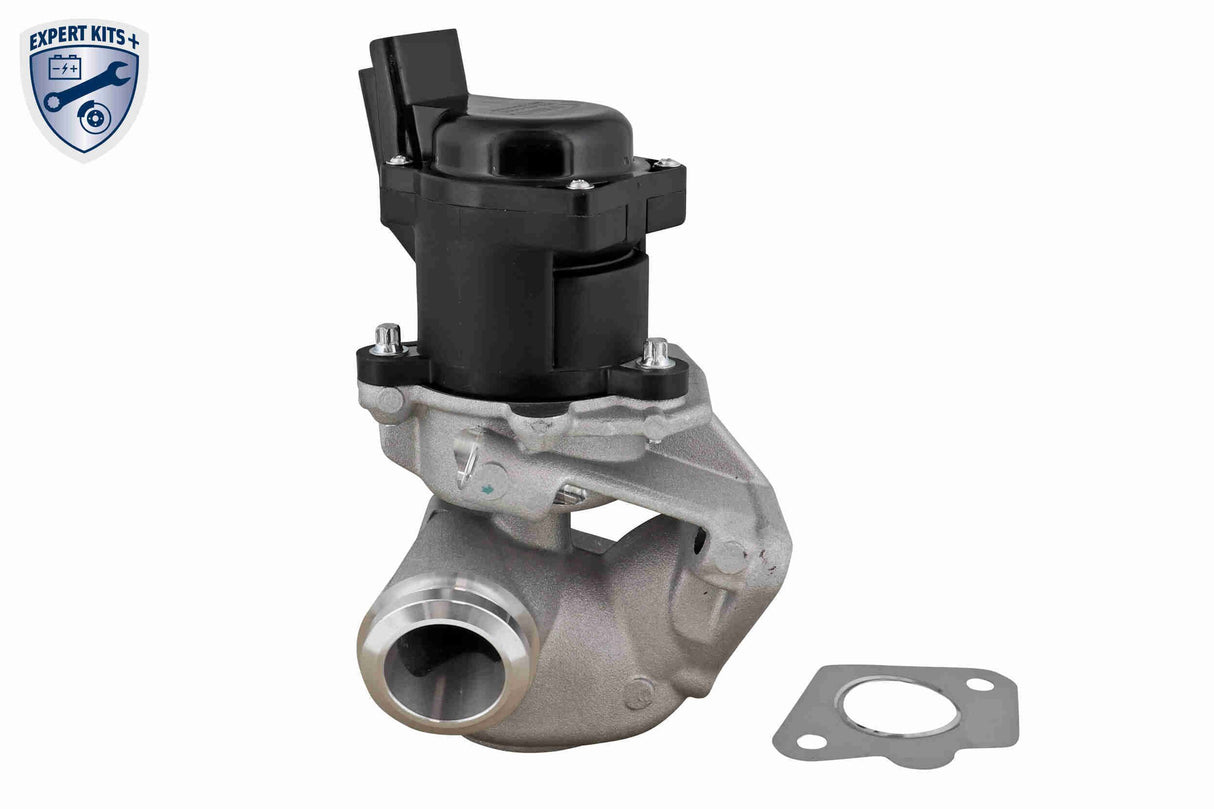Valve, exhaust gas recirculation - V22-63-0005