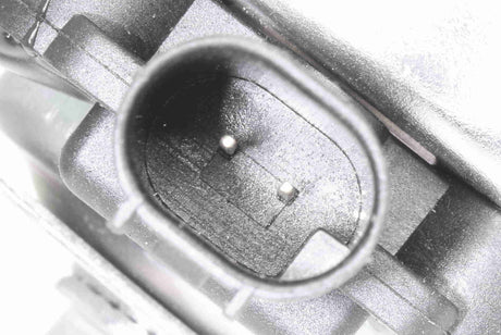 Signal Horn - V20-77-0005