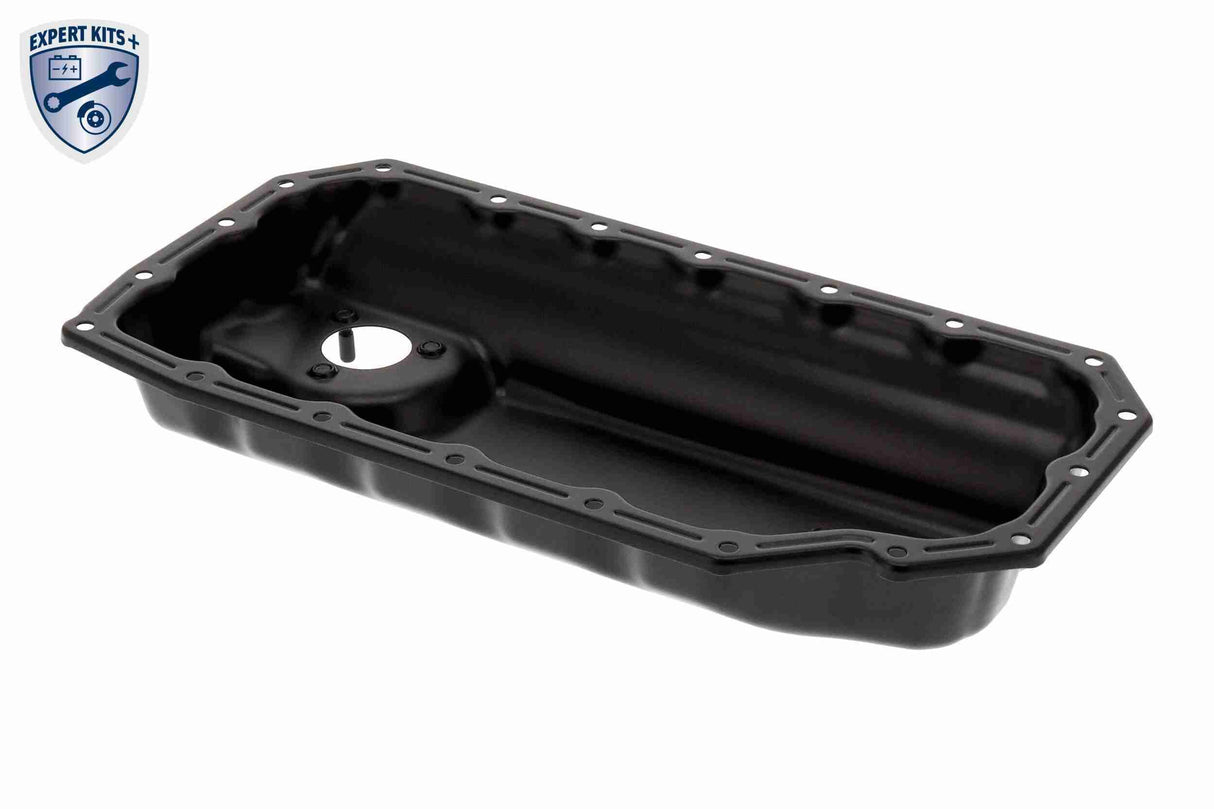 Oil Sump - V10-8009