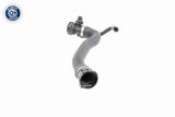 Radiator Hose - V20-2674