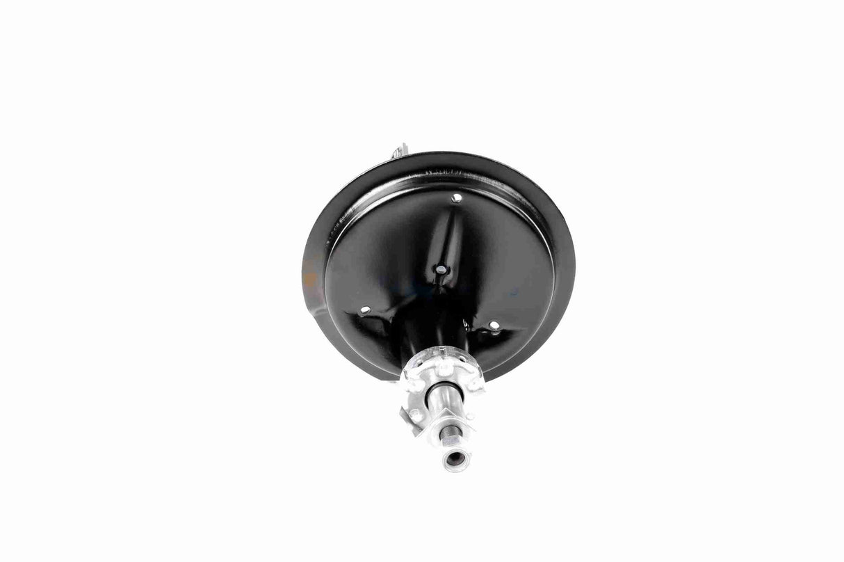 Shock Absorber - V24-0155