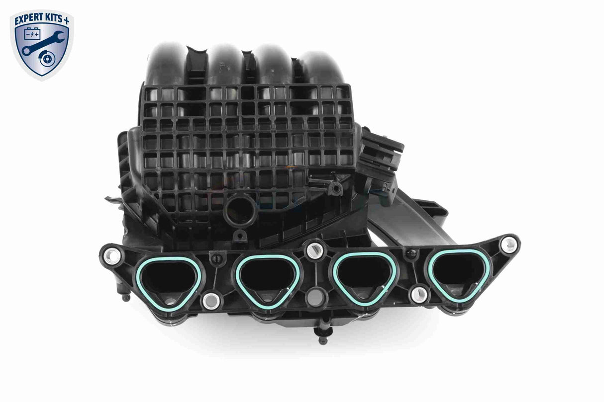 Intake Manifold Module - V10-5427