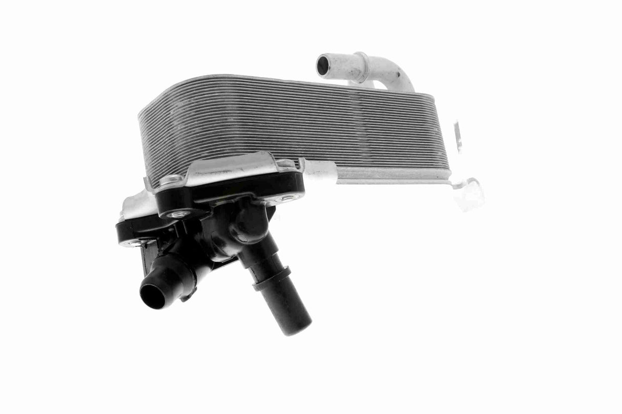 Oil Cooler, engine oil - V20-60-0053