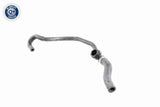 Radiator Hose - V48-0149