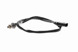 Oxygen Sensor - V10-76-0095