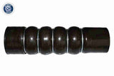 Charge Air Hose - V25-0853