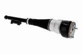 Air Suspension Strut - V30-50-0042